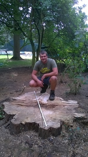 bomen 8.jpg