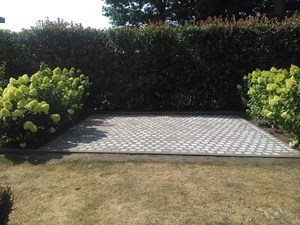 terras kandla.jpg